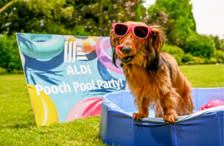 Aldi’s Sell-Out Pet Pool Is Back As Interest In Dog Paddling Pools Surges